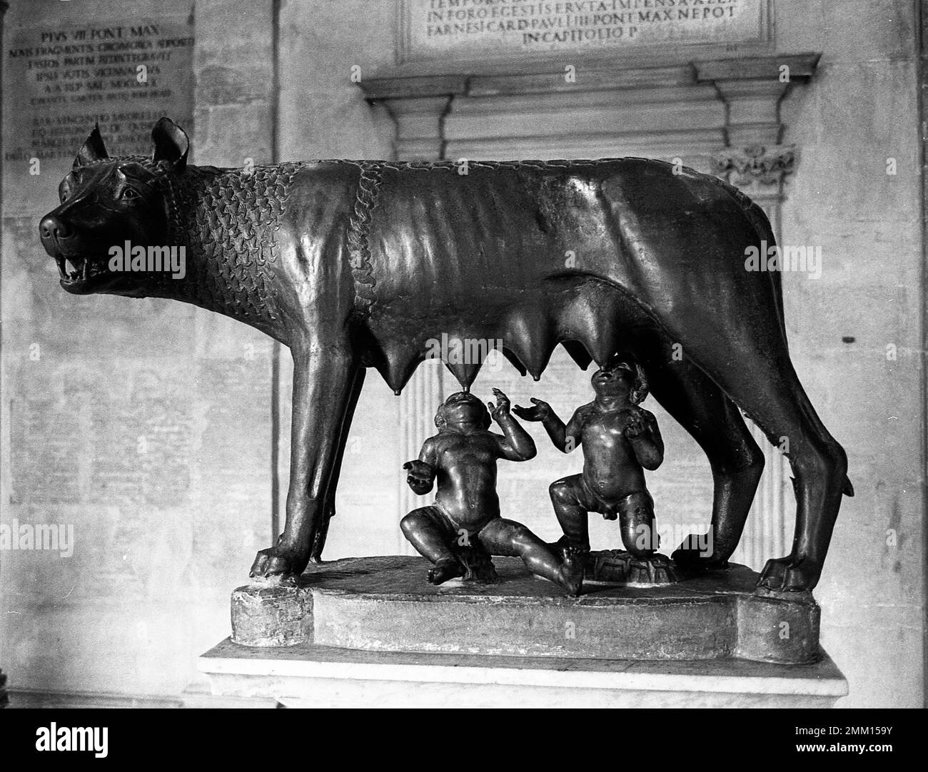 Roman shewolves, statue, archeology, Rome, Italy, 1975 Stock Photo Alamy