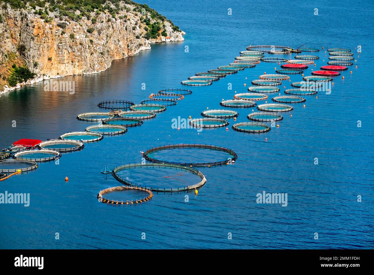 Fish Farm, aqua farm, Saronic Gulf, Peloponnese, Greece Stock Photo Alamy
