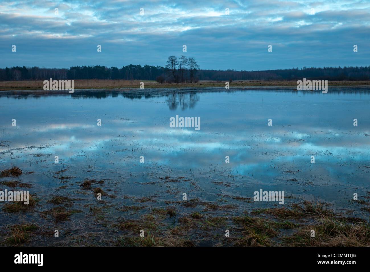 Reflection sky mirror water field hi-res stock photography and images ...