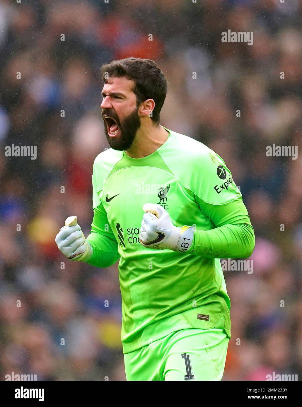 Liverpool Goalkeeper Alisson Becker Celebrates After Team-mate Harvey ...