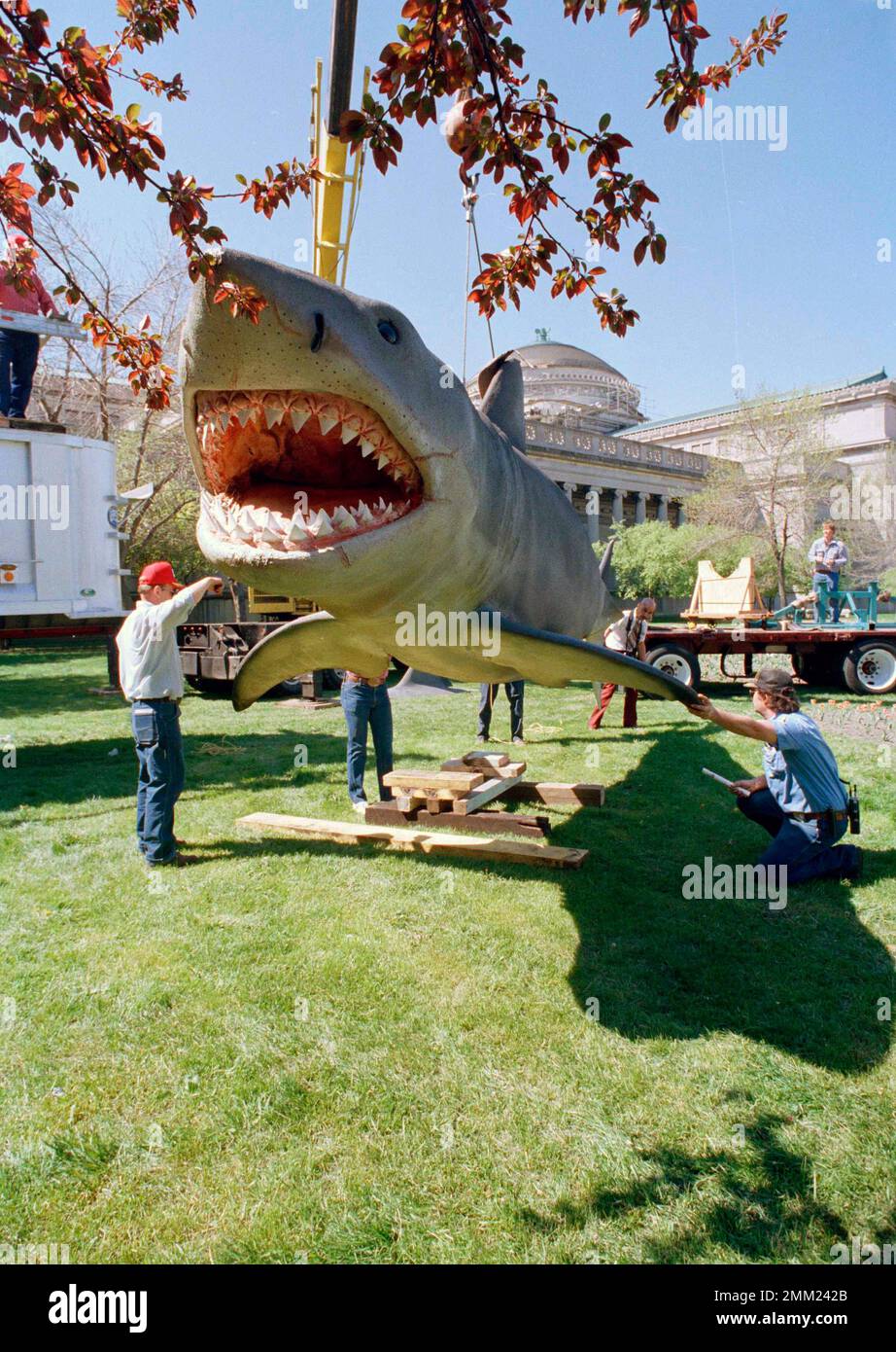 the 25-foot, 4,000-pound mechanical killer shark from the movie