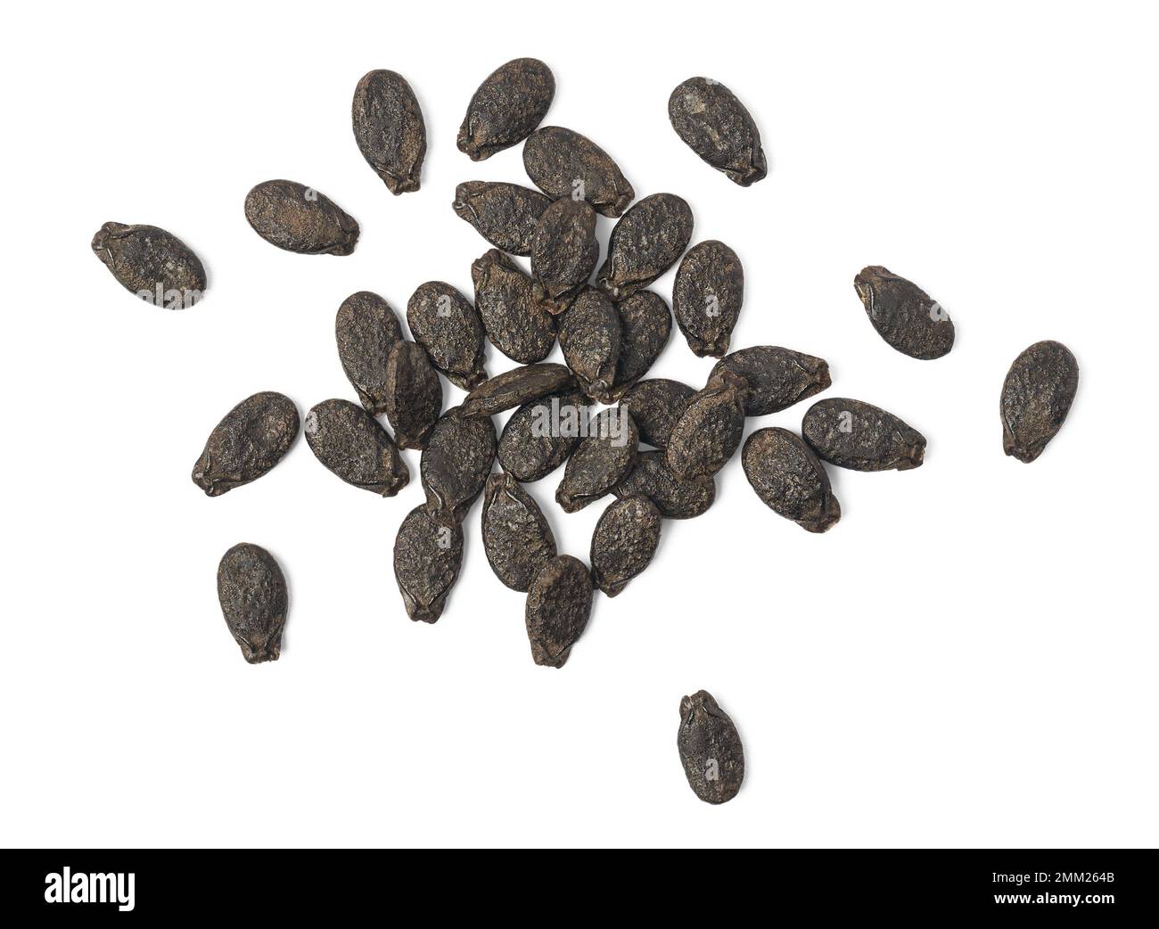 dried angled luffa seeds isolated on white background, also known as ridged gourd or chinese okra, harvested or collect vegetables seeds for planting Stock Photo