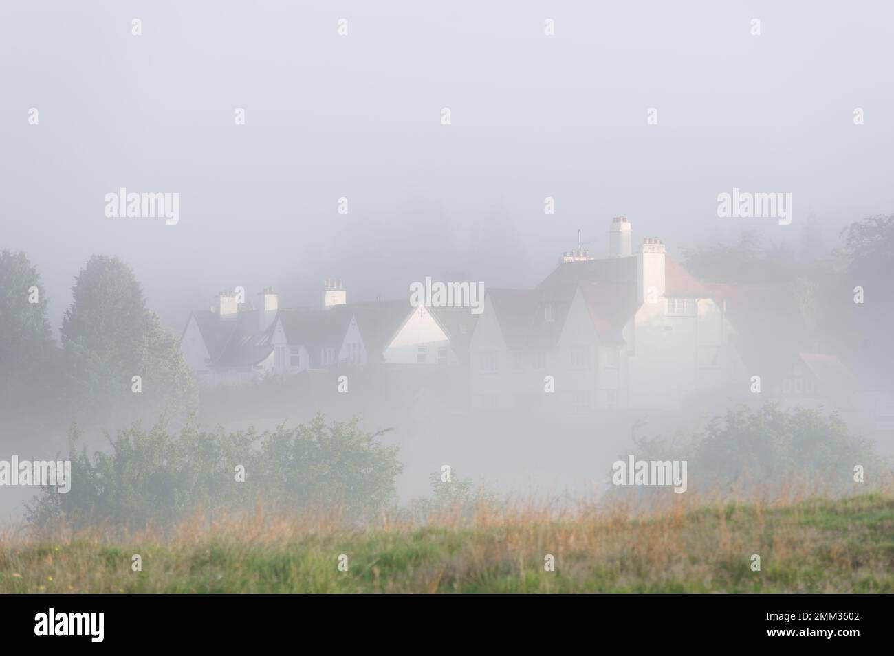 Large houses during foggy morning at Kilmacolm Stock Photo Alamy