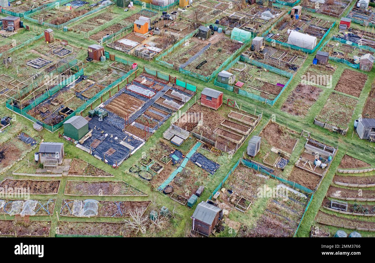 Allotment plots for growing vegetables and fruit for sustainable living in Aberdeenshire Stock Photo
