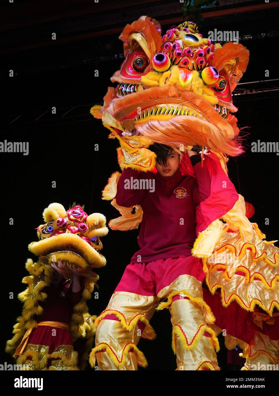Members of the Flower City Dragon and Lion Dance Association during a Cantonese Lion Dancing performance in Dublin's city centre as part of Dublin Lunar New Year’s flagship event of the Chinese New Year festival. Picture date: Sunday January 29, 2023. Stock Photo