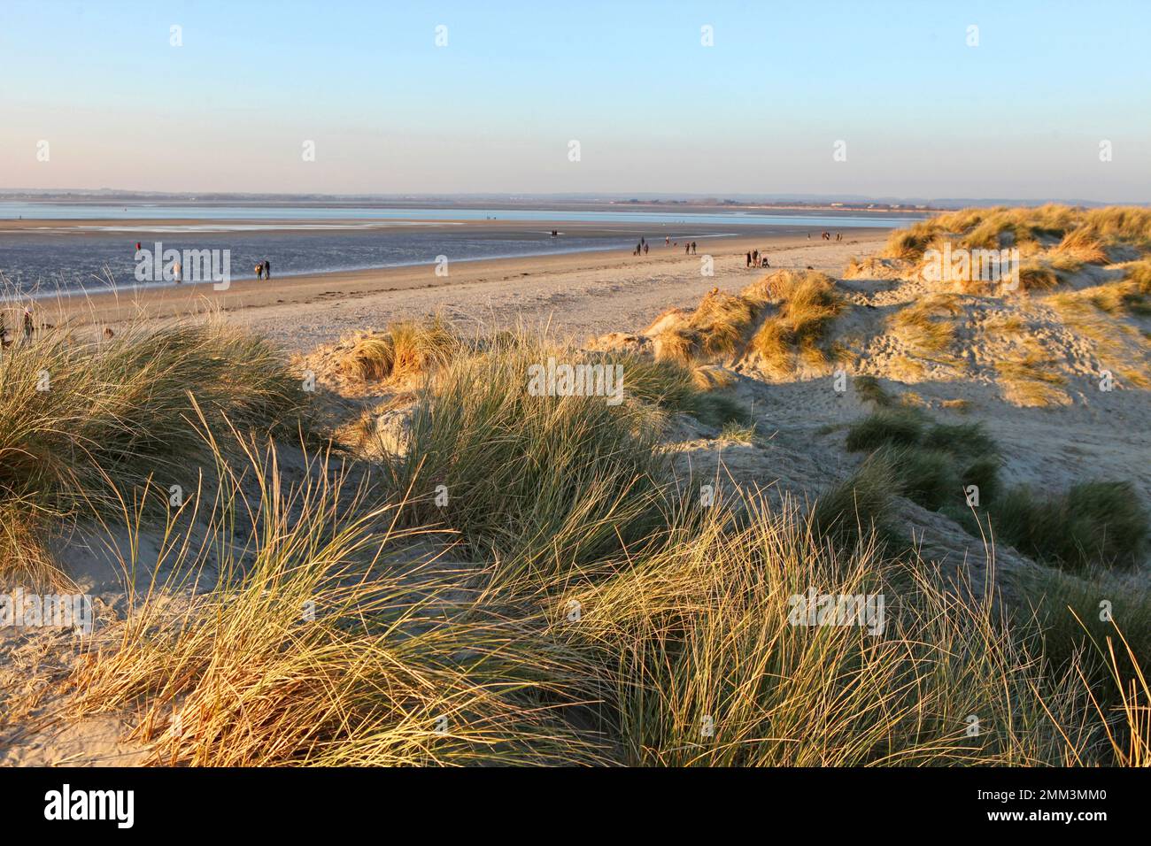 sand-dunes-at-west-wittering-west-sussex-uk-stock-photo-alamy