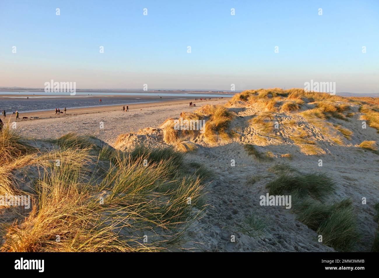 sand-dunes-at-west-wittering-west-sussex-uk-stock-photo-alamy