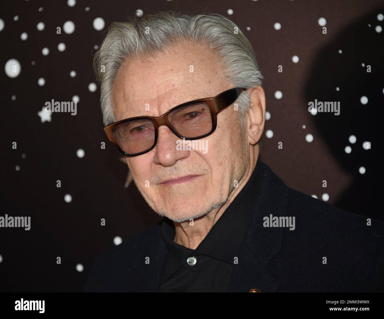 Actor Harvey Keitel attends the Museum of Modern Art Film Benefit