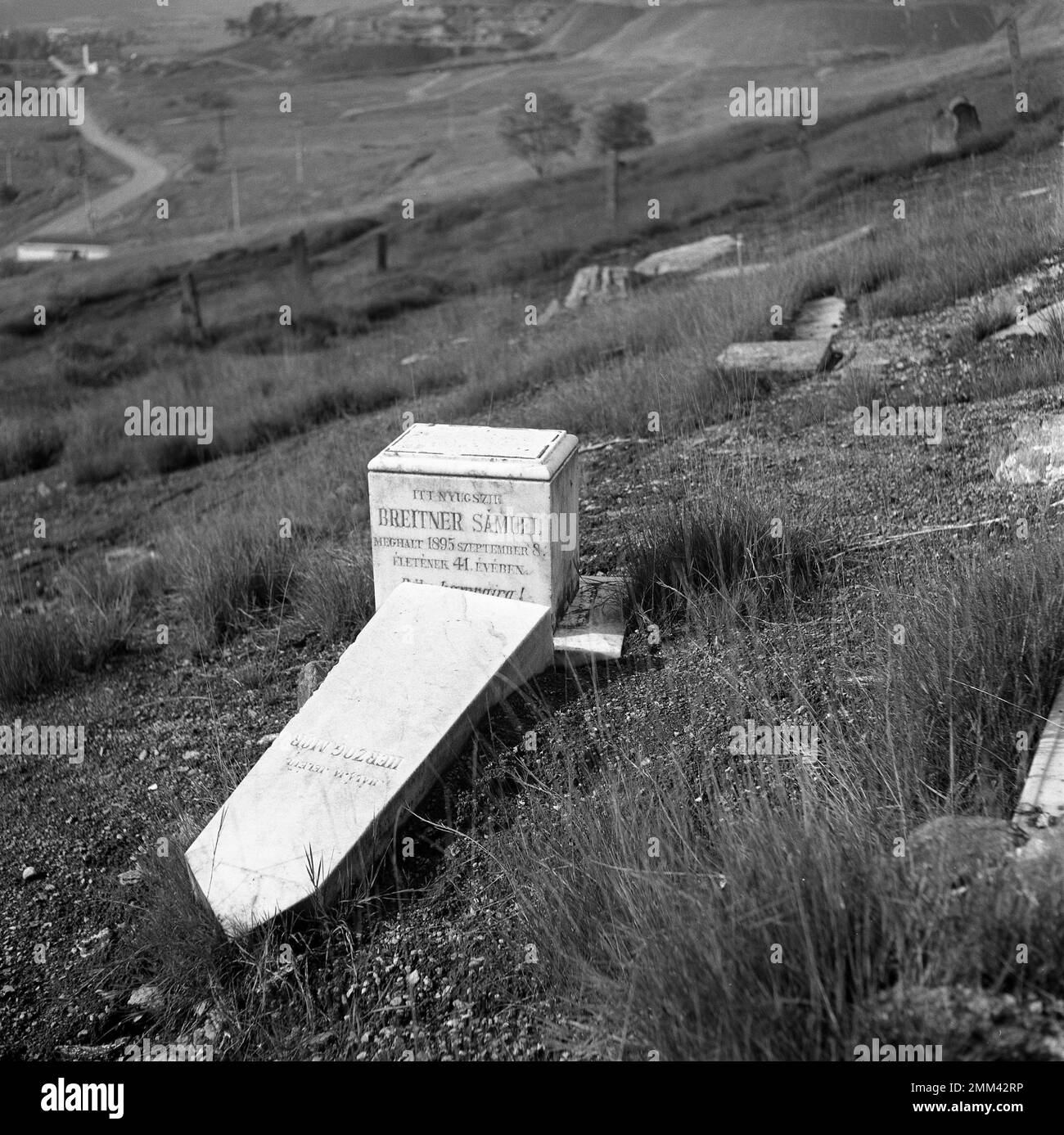 Remains of a Jewish cemetery at Jelšava, Slovakia. A broken tombstone on a grassy hillside. Stock Photo