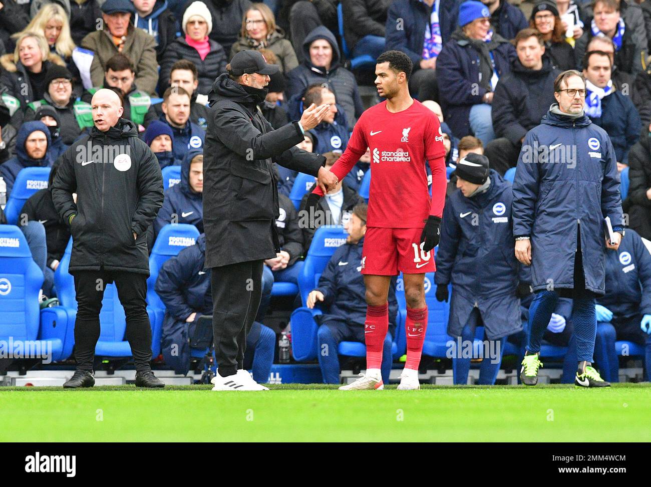 Brighton, UK. 29th Jan, 2023. Jurgen Klopp Manager of Liverpool FC gives instructions to Cody Gakpo of Liverpool FC during the FA Cup Fourth Round match between Brighton & Hove Albion and Liverpool at The Amex on January 29th 2023 in Brighton, England. (Photo by Jeff Mood/phcimages.com) Credit: PHC Images/Alamy Live News Stock Photo