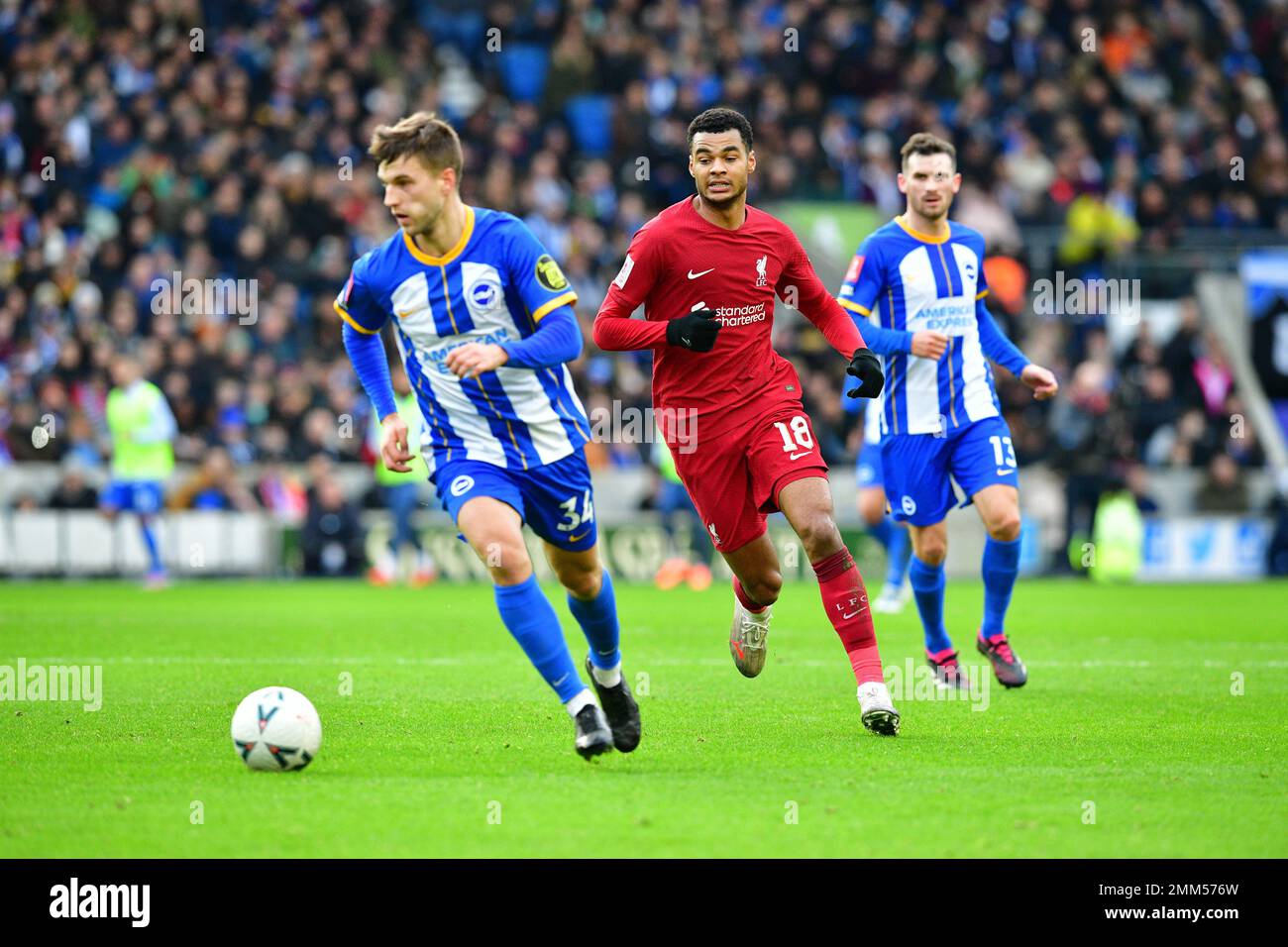 Brighton, UK. 29th Jan, 2023. Cody Gakpo of Liverpool FC chases down Joel Veltman of Brighton and Hove Albion during the FA Cup Fourth Round match between Brighton & Hove Albion and Liverpool at The Amex on January 29th 2023 in Brighton, England. (Photo by Jeff Mood/phcimages.com) Credit: PHC Images/Alamy Live News Stock Photo