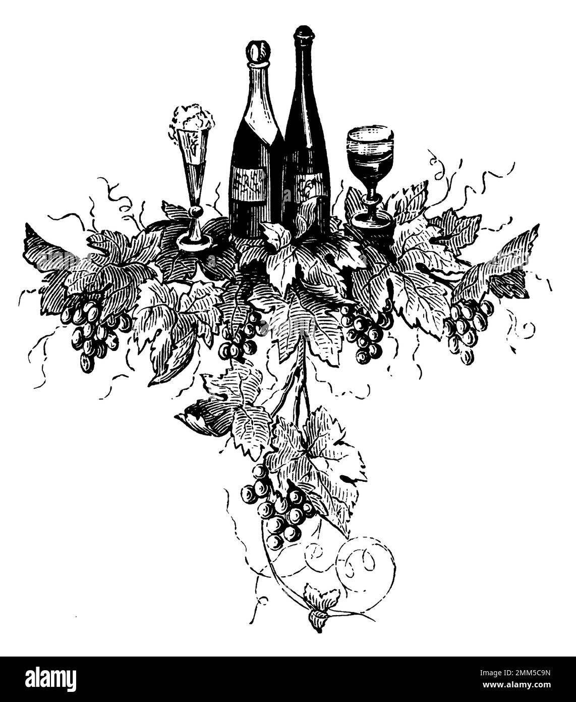 Antique 19th-century illustration of a wine ornament (isolated on white). Published in Systematischer Bilder-Atlas zum Conversations-Lexikon, Ikonogra Stock Photo