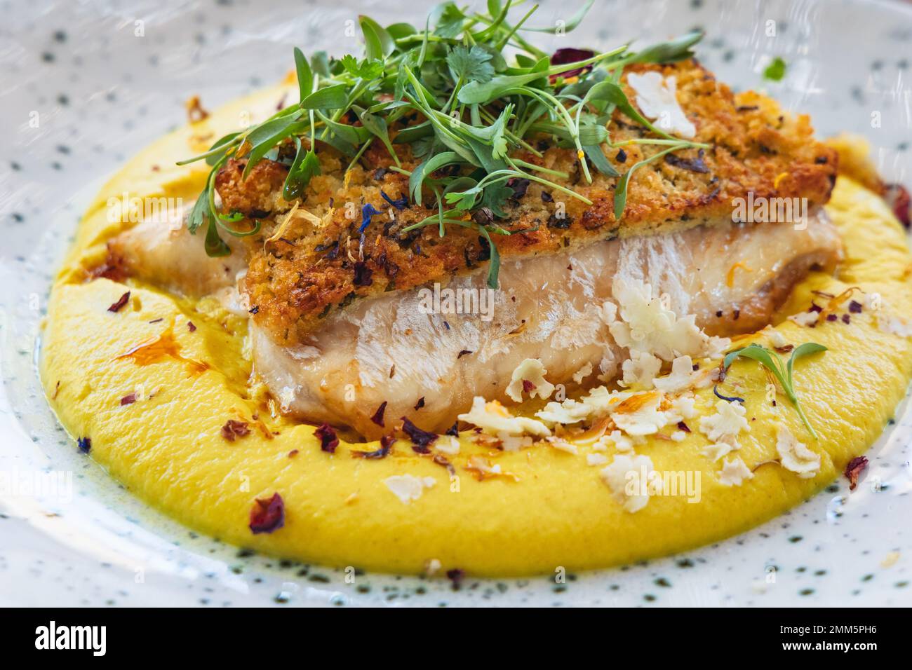 Sea bream fillet in restaurant in Larnaca city, Cyprus island country Stock Photo