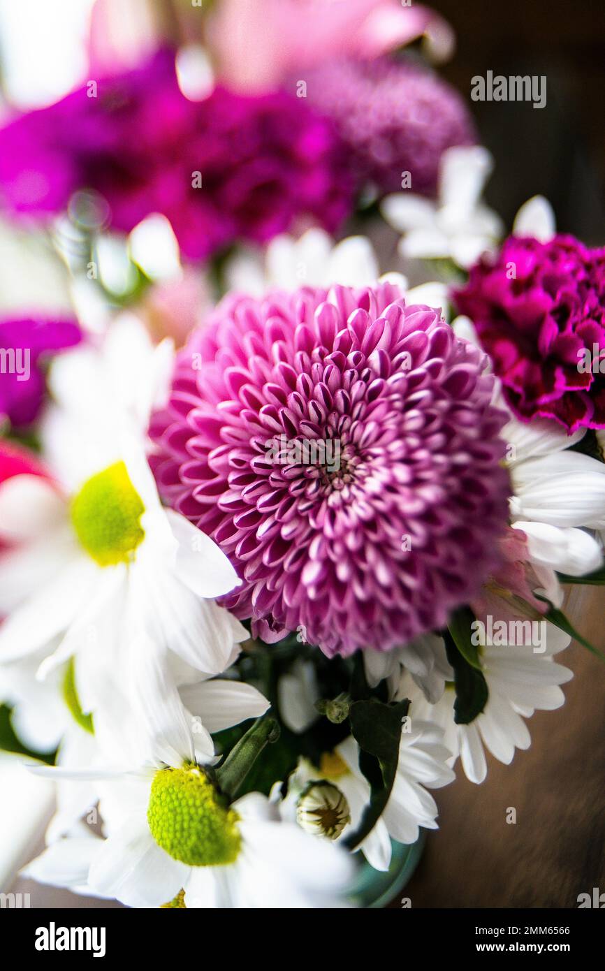 Bright Pink Dahlia Flower in Bouquet Stock Photo - Alamy