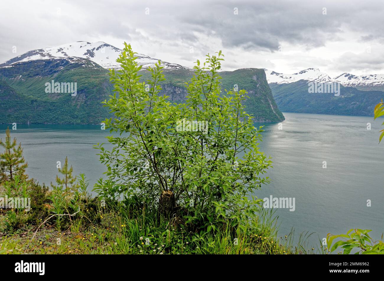 Beautiful norwegian fjord landscape in the summer time - Andalsnes - Norway. 20.06.2012 Stock Photo