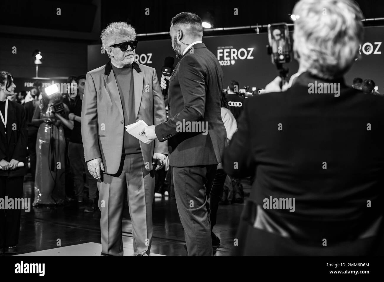 X edición de los Premios Feroz celebrados el pasado 28 de enero en Zaragoza, España. Lo mejor de la producción audiovisual española del año. Stock Photo