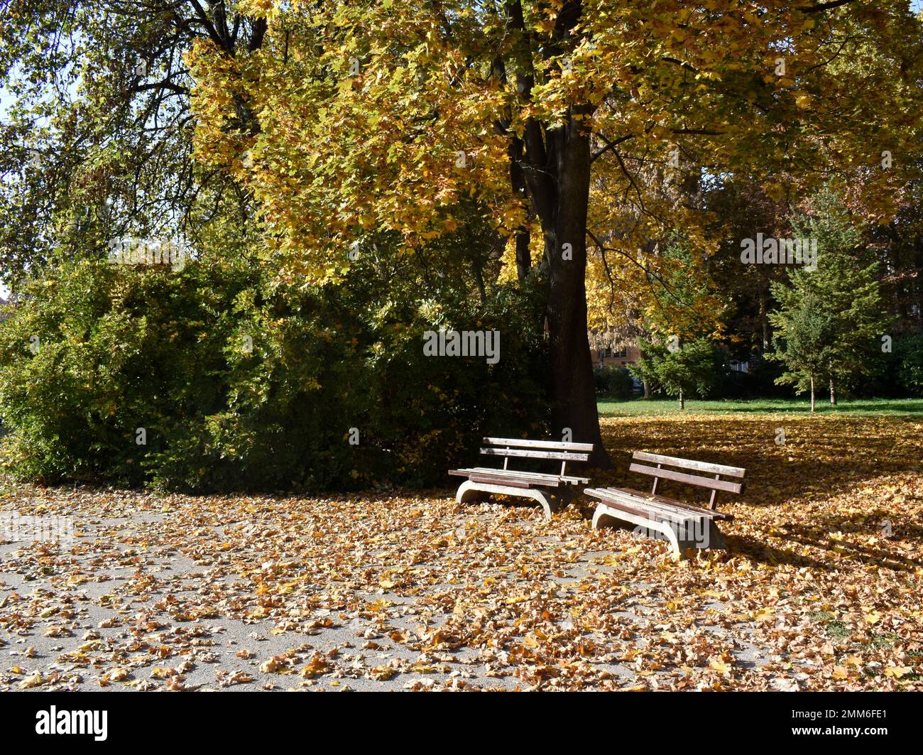 Park beautiful plants benches hi-res stock photography and images - Alamy