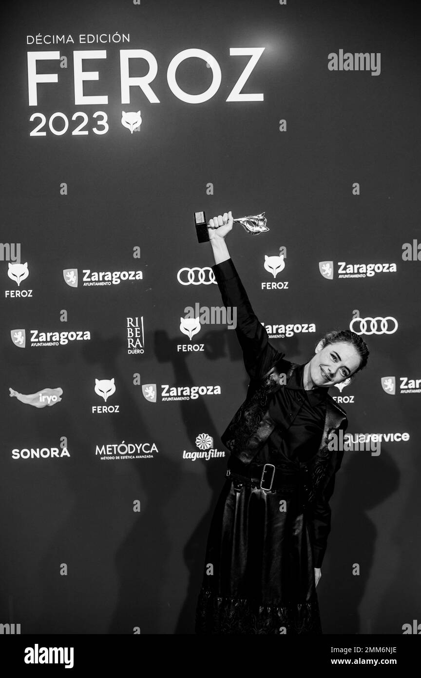 X edición de los Premios Feroz celebrados el pasado 28 de enero en Zaragoza, España. Lo mejor de la producción audiovisual española del año. Stock Photo