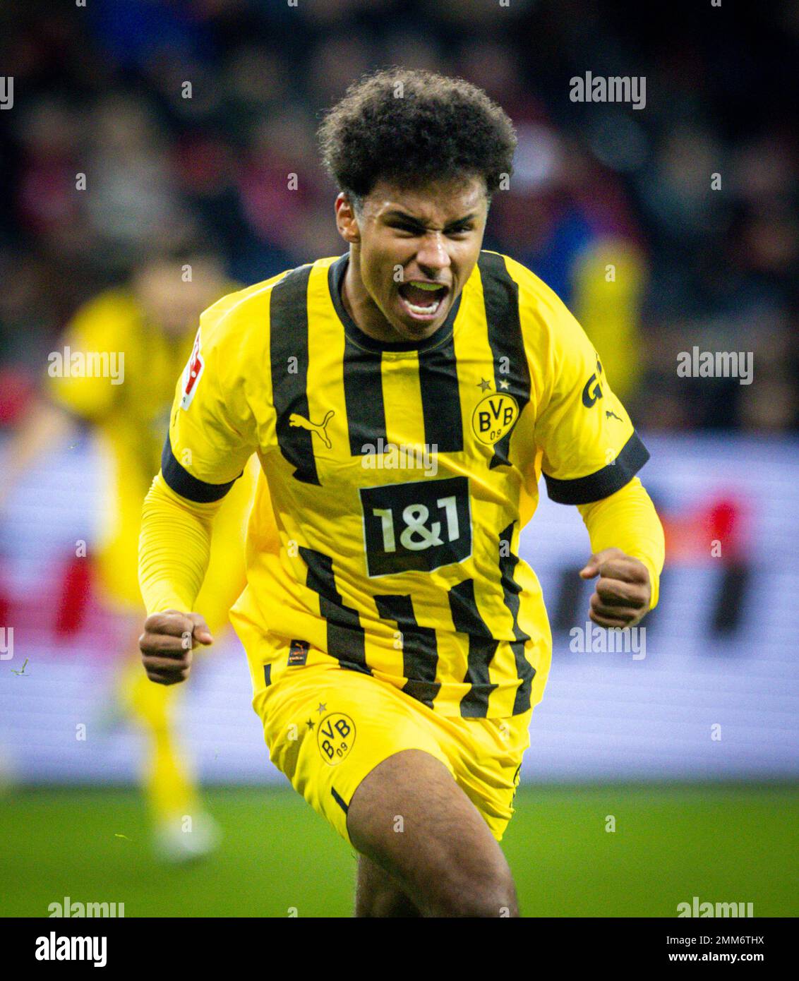 Leverkusen, Germany. 29th Jan, 2023.  Goal celebration: Karim Adeyemi (BVB) Bayer Leverkusen - Borussia Dortmund Bundesliga 29.01.2023  Credit: Moritz Muller/Alamy Live News Stock Photo