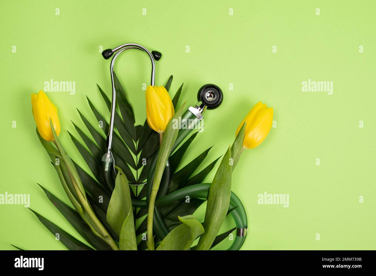 Bouquet of flowers and stethoscope on a green background, a place for text, happy doctors day, nurses week and other medical holidays. Stock Photo