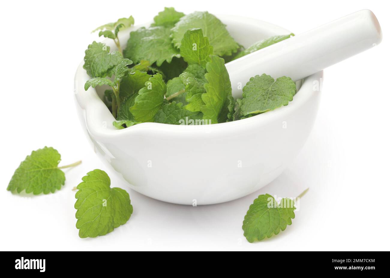 Fresh leaves of lemon balm in a mortar with pestle Stock Photo