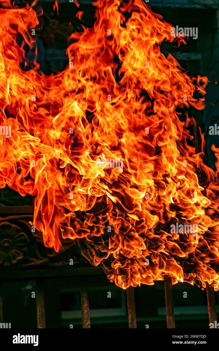 Bright fire on the fence. Clubs of orange fire burn everything. Fire. Burning flame as a background. Stock Photo