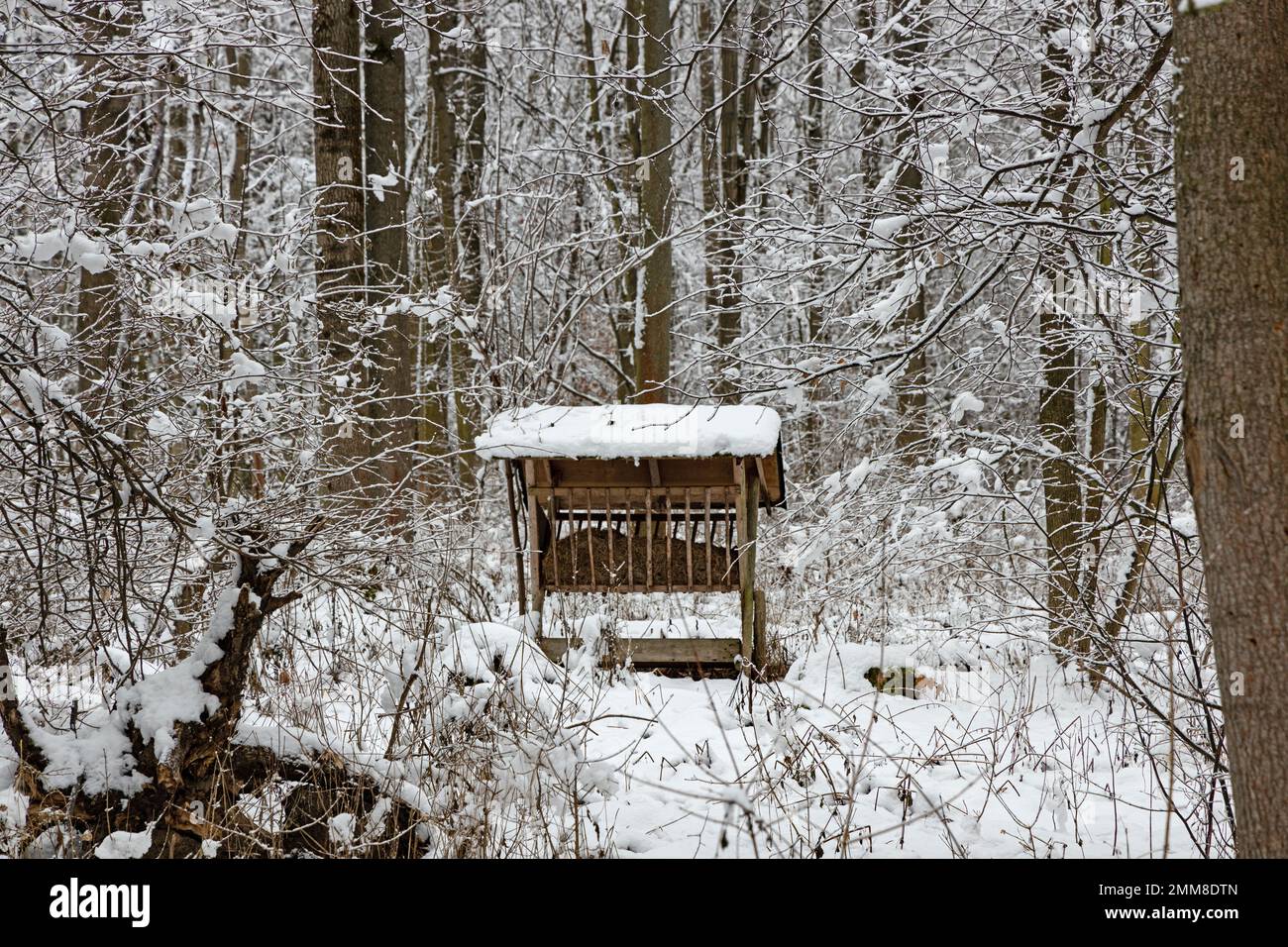 feeding crib for deers and other wild animals in a winter forest Stock Photo - Alamy feeding crib for deers and other wild animals in a winter forest Stock Photo - Alamy