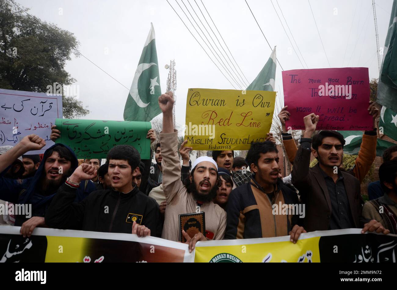 Peshawar, Pakistan. 29th Jan, 2023. Supporters of Muslim Man's League party hold a placard reading in Urdu 'Burning of the Koran is the worst type of terrorism by Sweden' during a protest against Sweden. Pakistani Prime Minister Shahbaz Sharif, several Arab countries as well as Turkey condemned on 23 January, Islamophobia after Swedish-Danish far-right politician Rasmus Paludan burned a copy of the Koran at a rally in Stockholm on 21 January. (Photo by Hussain Ali/Pacific Press) Credit: Pacific Press Media Production Corp./Alamy Live News Stock Photo