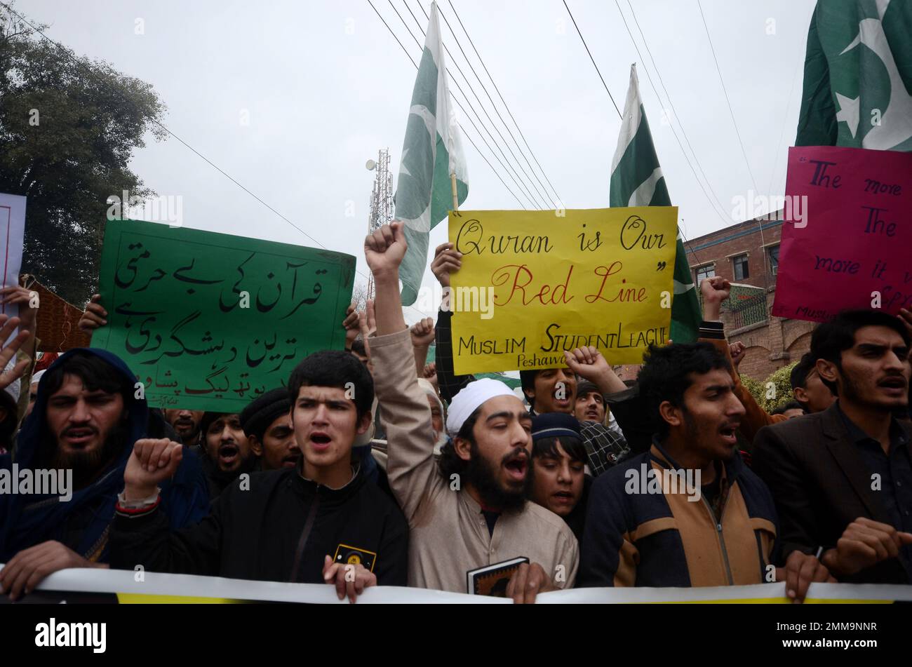 Peshawar, Pakistan. 29th Jan, 2023. Supporters of Muslim Man's League party hold a placard reading in Urdu 'Burning of the Koran is the worst type of terrorism by Sweden' during a protest against Sweden. Pakistani Prime Minister Shahbaz Sharif, several Arab countries as well as Turkey condemned on 23 January, Islamophobia after Swedish-Danish far-right politician Rasmus Paludan burned a copy of the Koran at a rally in Stockholm on 21 January. (Photo by Hussain Ali/Pacific Press) Credit: Pacific Press Media Production Corp./Alamy Live News Stock Photo