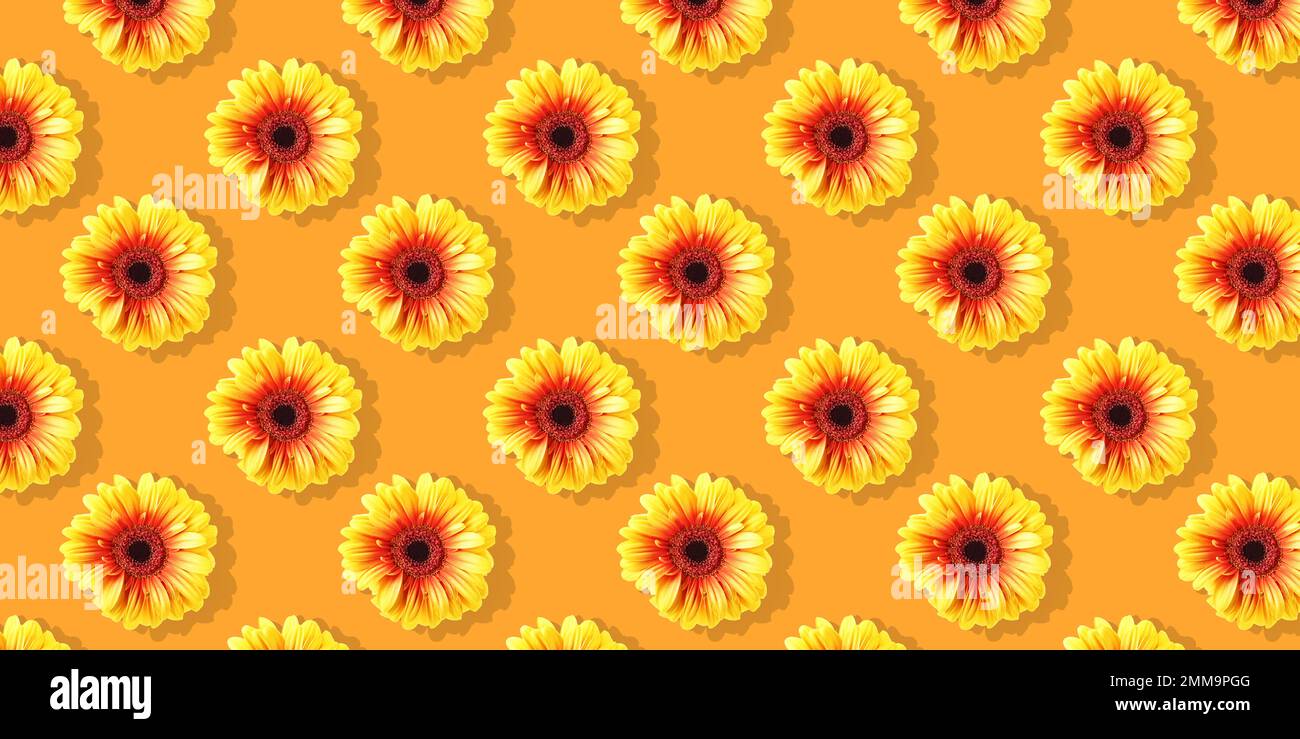 Daisy flowers seamless on sunny orange background.  Flat lay floral pattern Stock Photo