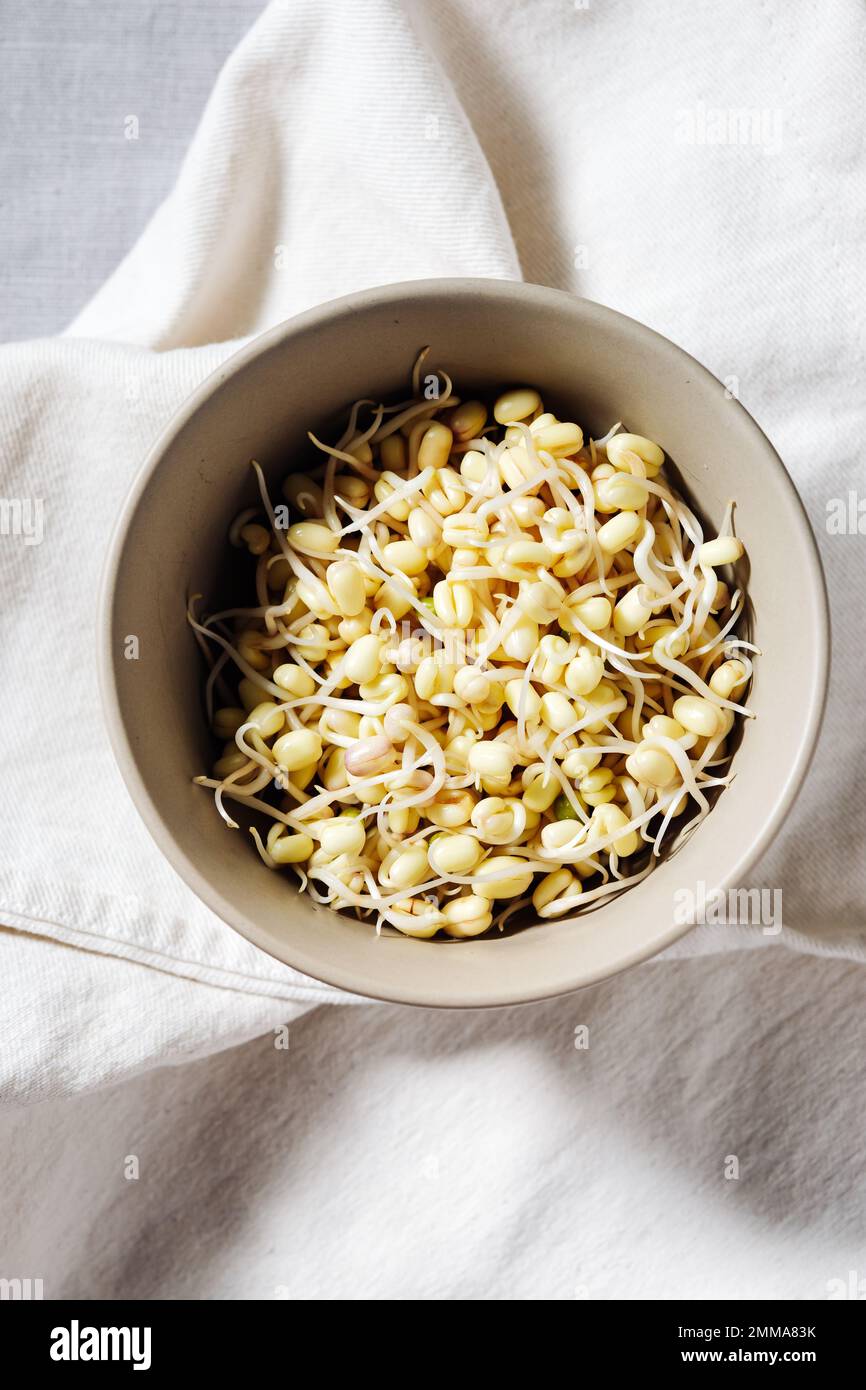 Bowl of fresh mung bean sprouts. Healthy food. Stock Photo