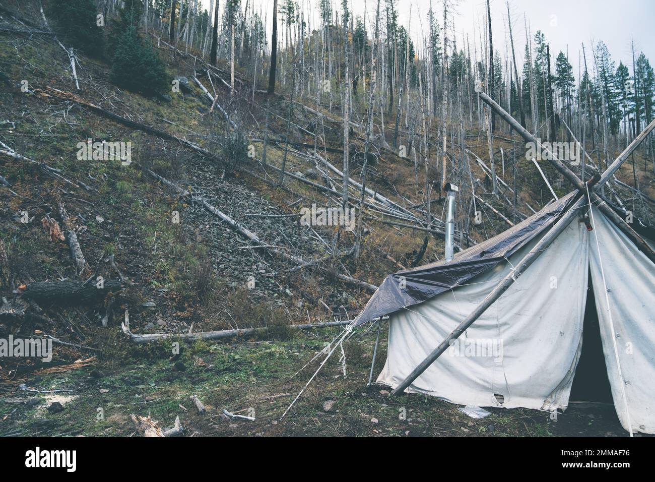 Canvas tent shelter setup at a campsite in the wilderness. Taken in