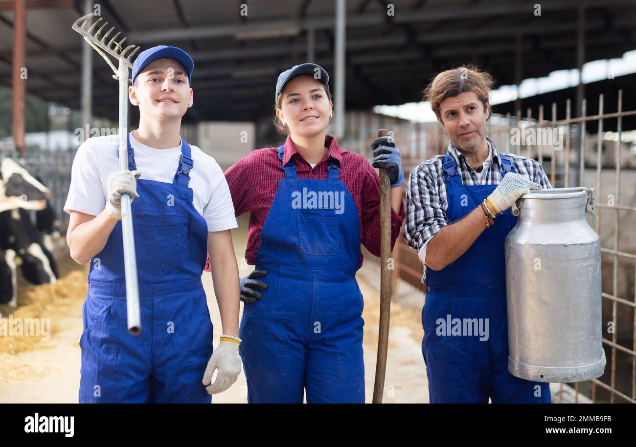 Three dairy farm workers with pitchforks and can of milk stand in cowshed Stock Photo