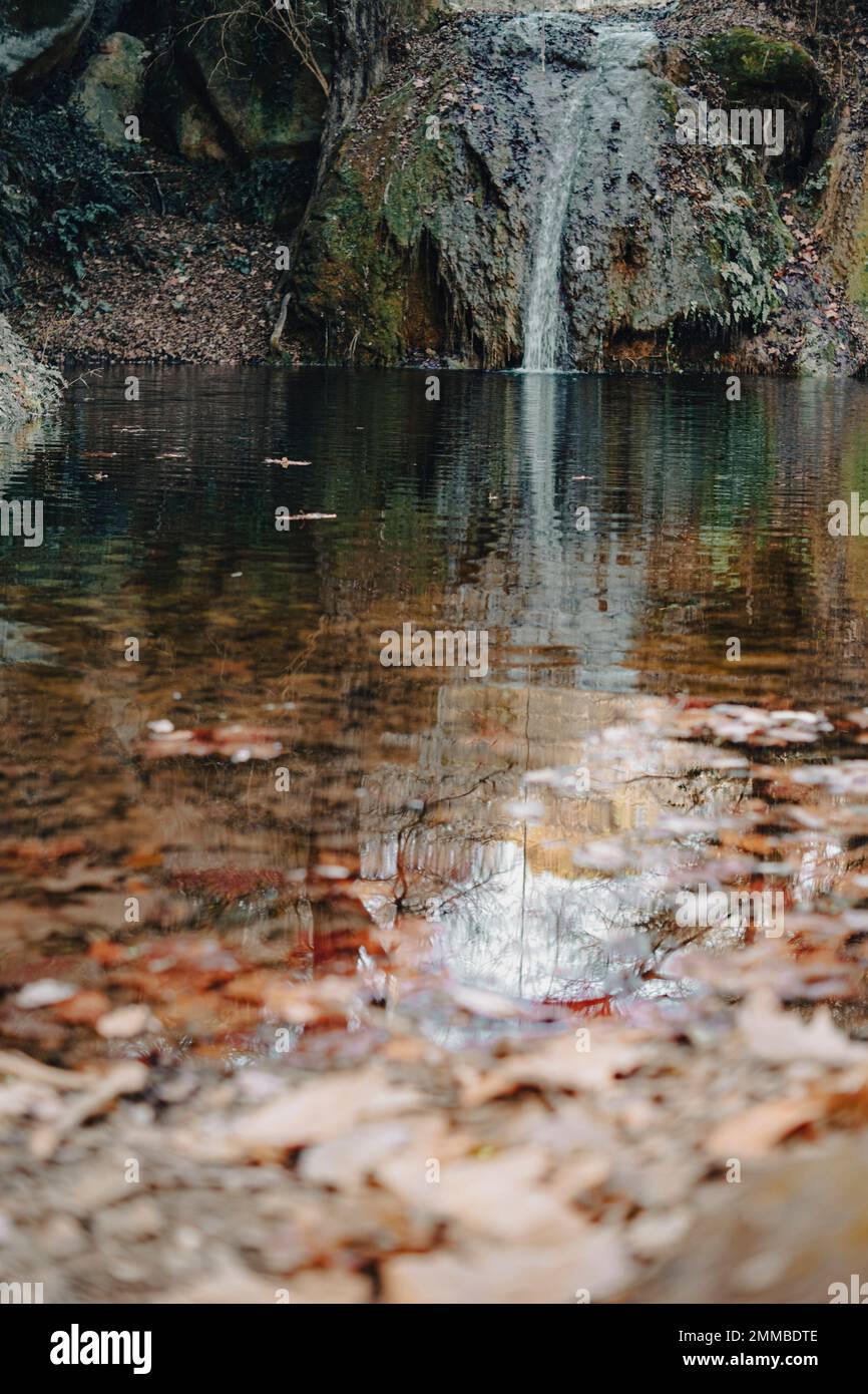 Stream river water in nature hi-res stock photography and images - Alamy