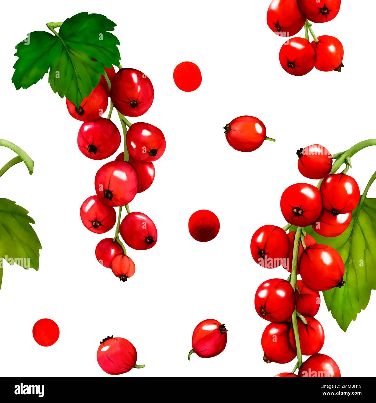 Pattern. Watercolor red currant berries isolated on white background