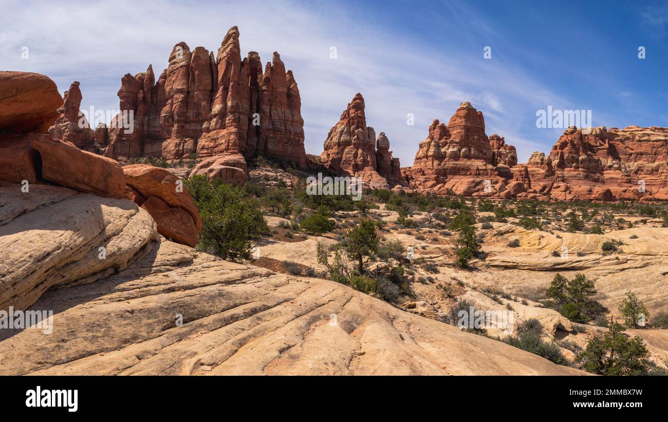 hiking the chesler park loop trail in the needles in canyonlands national park in the usa Stock Photo Alamy