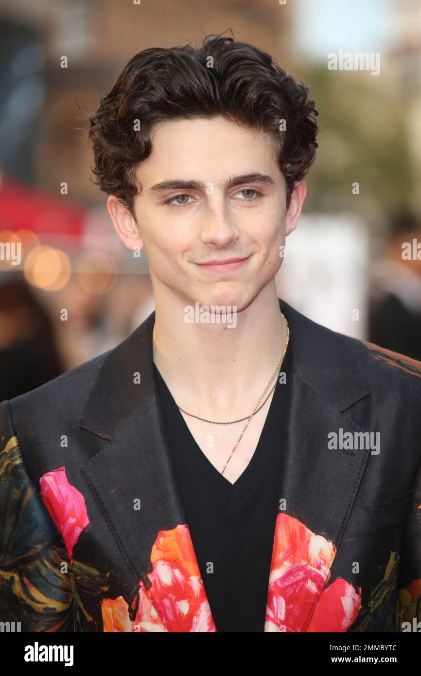 Actor Timothee Chalamet poses for photographers upon arrival at the ...