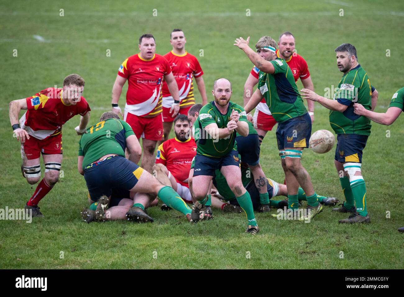 Rugby scrum half passing the ball. Stock Photo