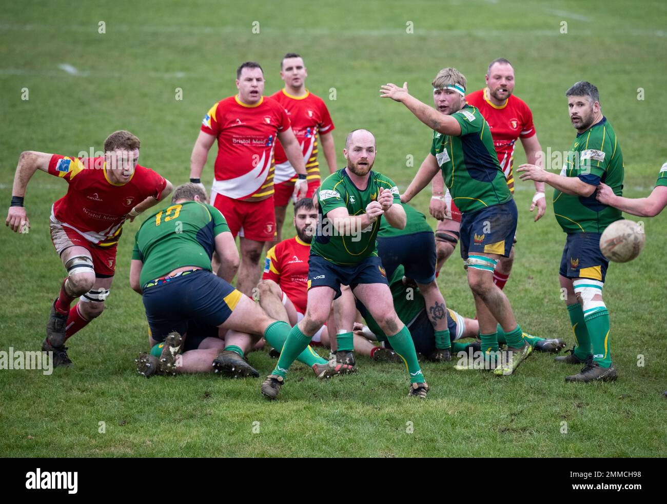 Rugby scrum half passing the ball. Stock Photo