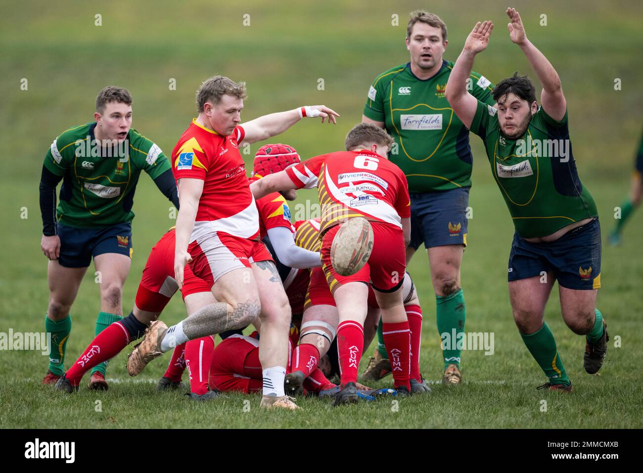 Rugby player drop kicking ball as opponent tries to charge down kick Stock Photo