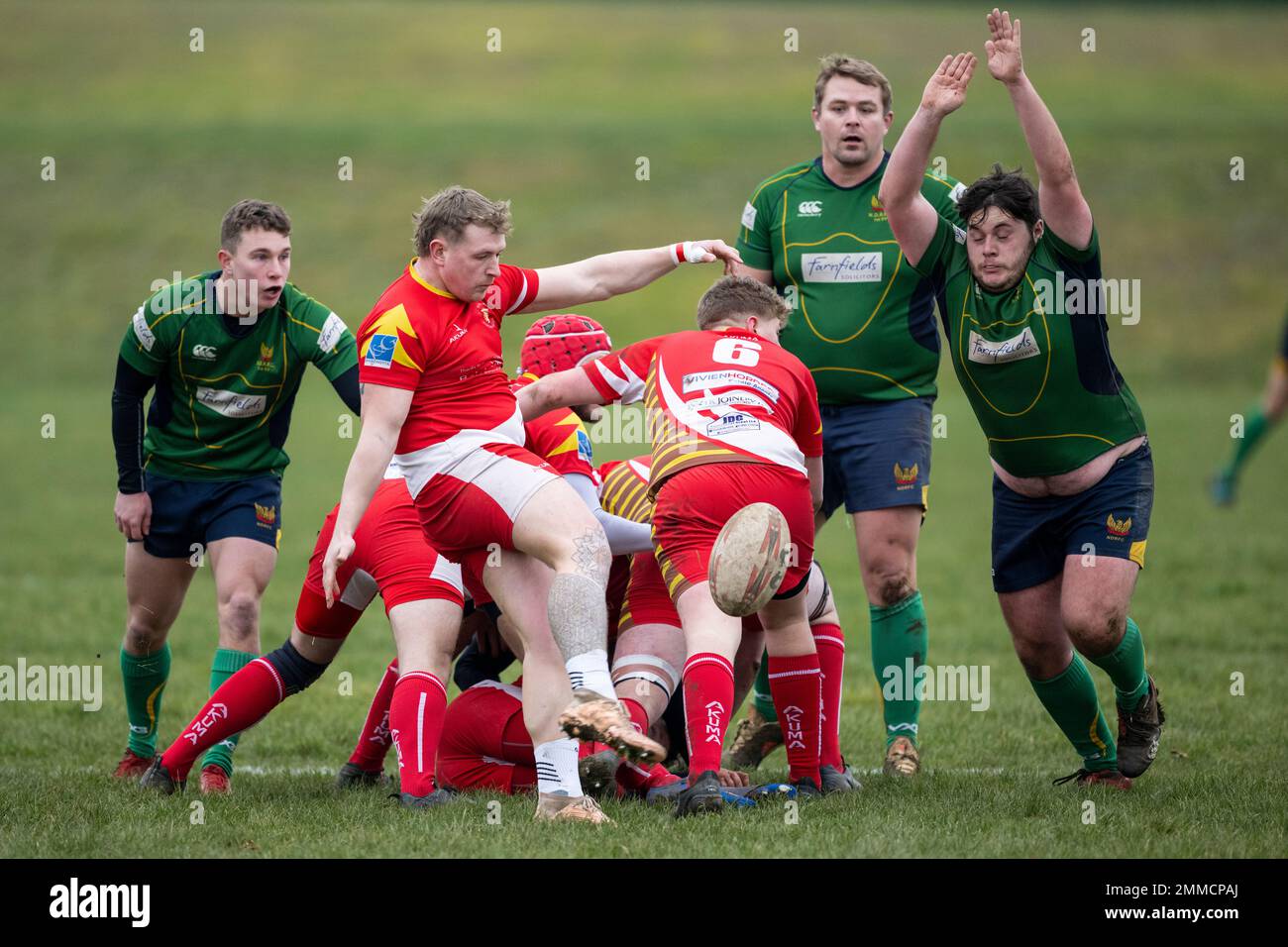 Rugby player drop kicking ball as opponent tries to charge down kick Stock Photo