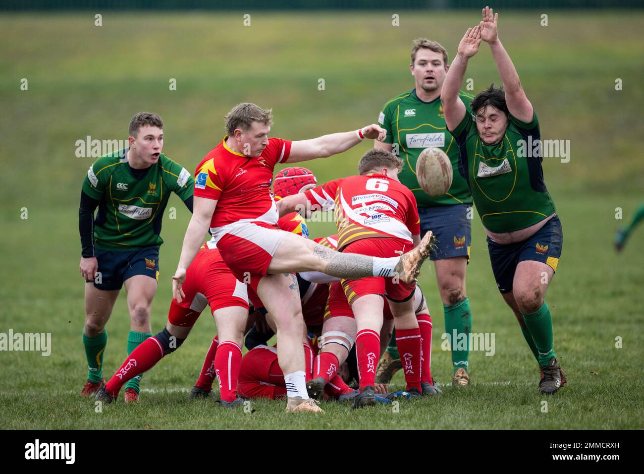 Rugby player drop kicking ball as opponent tries to charge down kick Stock Photo