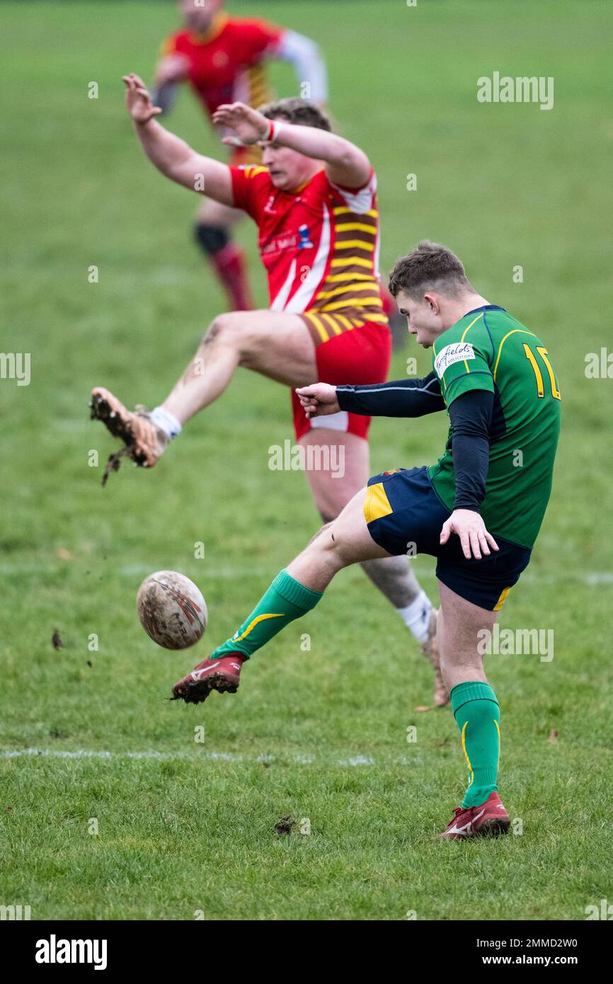 Rugby player drop kicking ball. Stock Photo