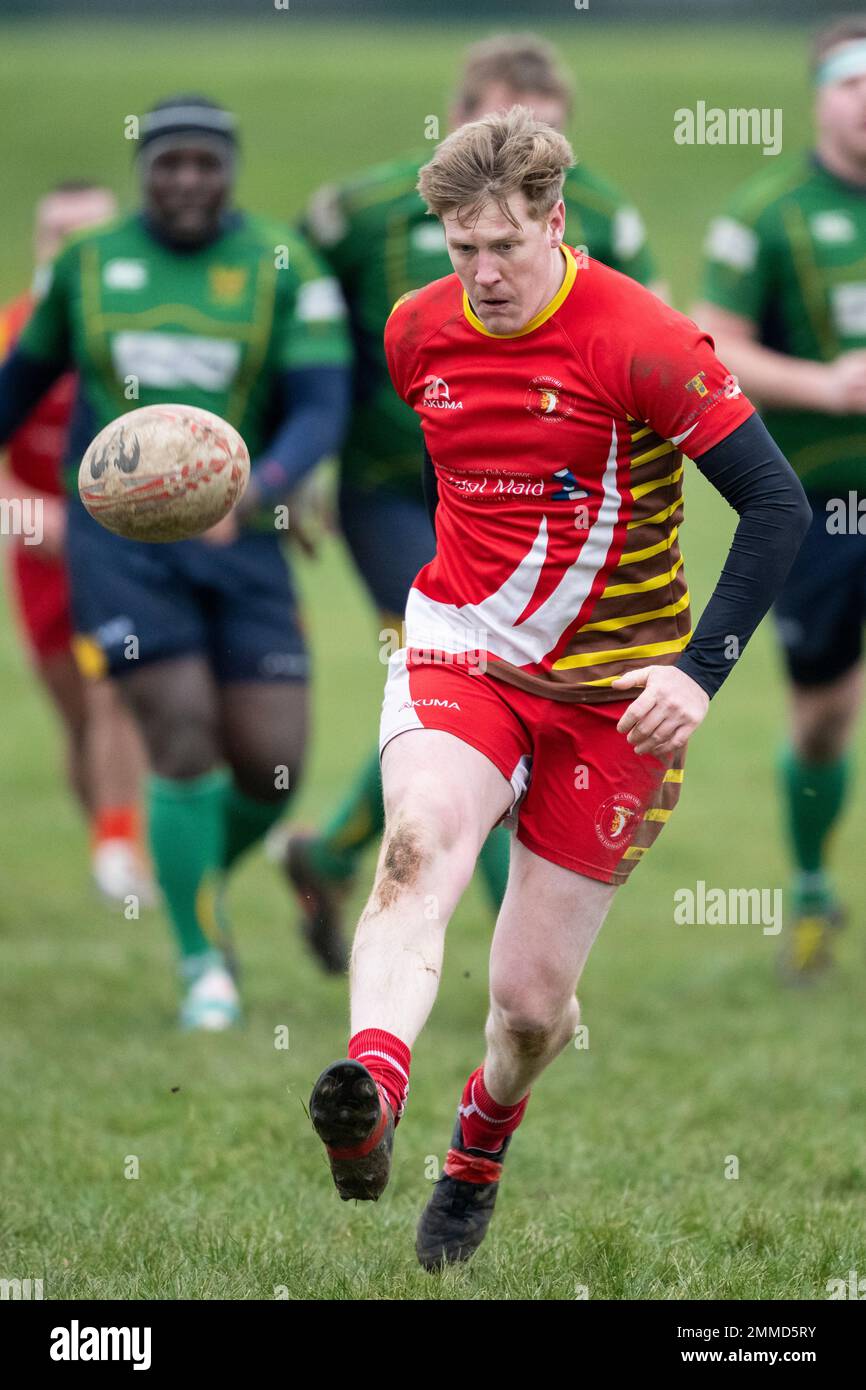 Rugby player drop kicking ball over opponent near try line. Stock Photo