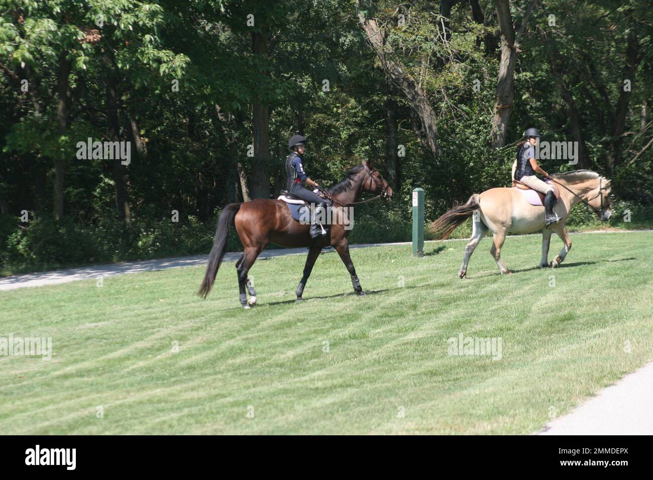 Queeny Park Equestrian 2022 at Queeny Park the Mini Event is two days
