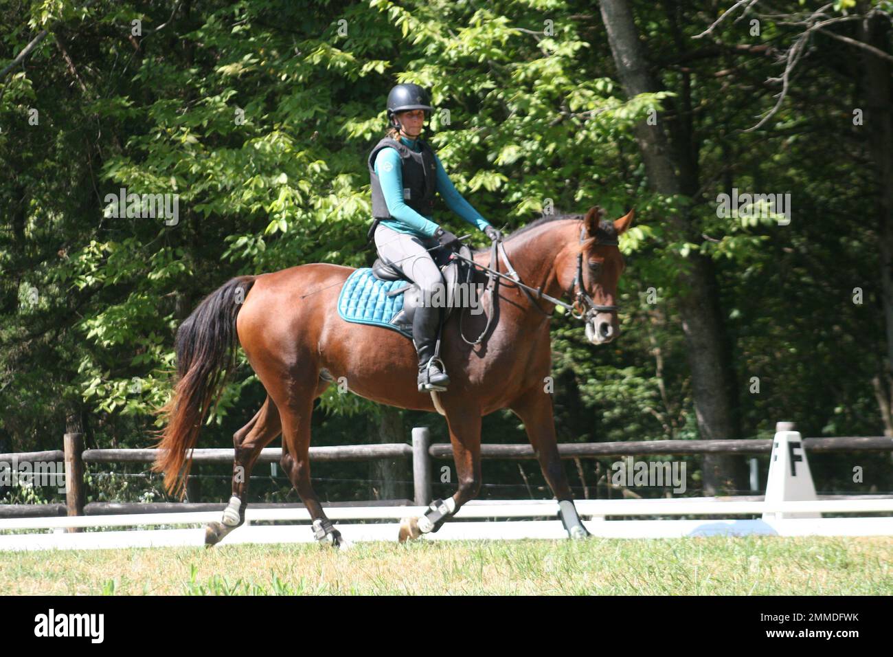Queeny Park Equestrian 2022 at Queeny Park the Mini Event is two days