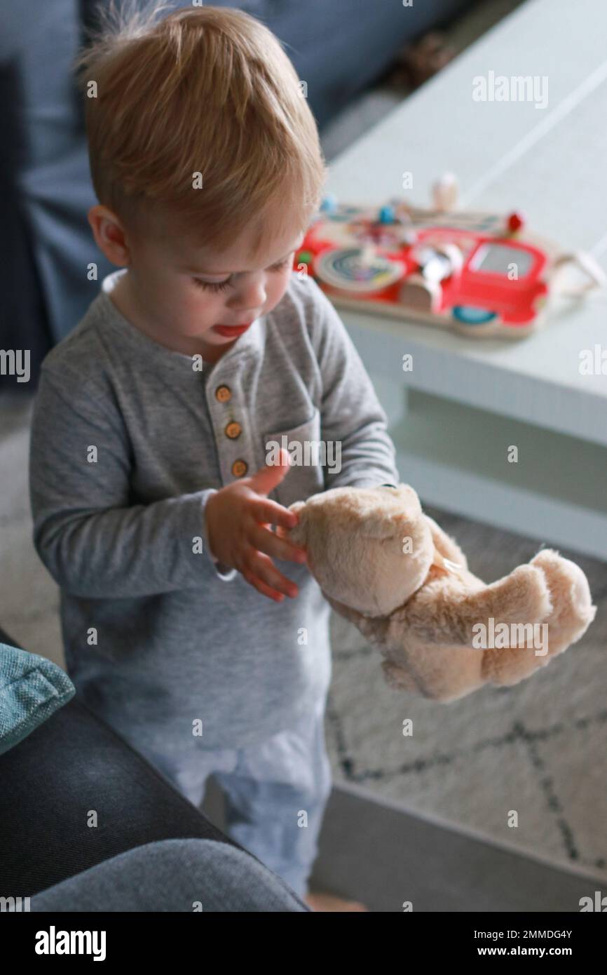 portrait of cute little boy playing with teddy bear in living room ...
