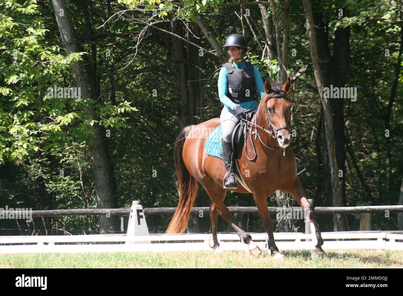 Queeny Park Equestrian 2022 at Queeny Park the Mini Event is two days