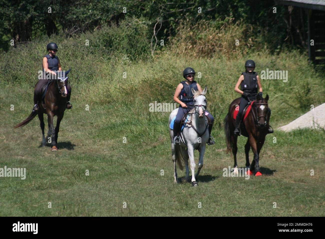 Queeny Park Equestrian 2022 at Queeny Park the Mini Event is two days