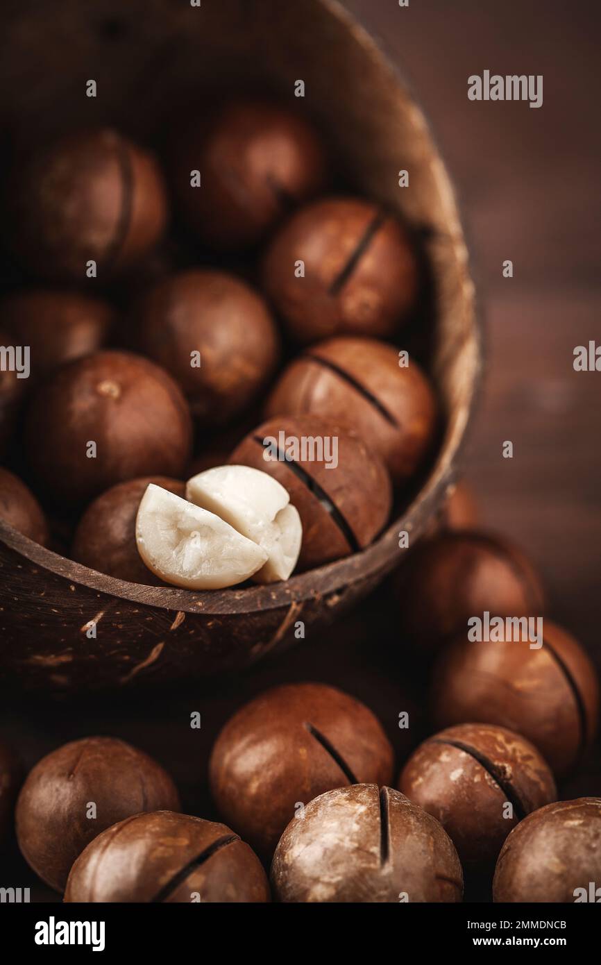 macadamia nuts, typical Australian queensland Stock Photo Alamy